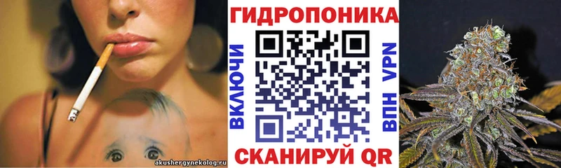 Где купить Зеленогорск APVP  Cocaine  ГАШИШ  Мефедрон  АМФЕТАМИН  Бошки Шишки 